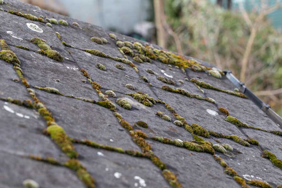 Project 6