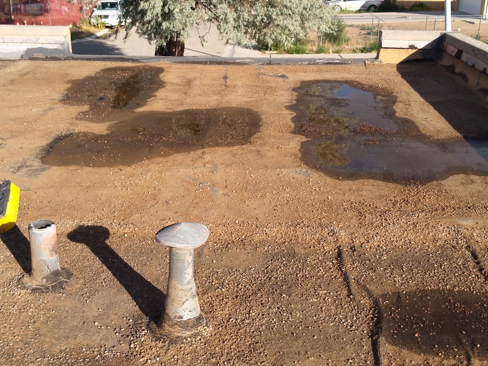 Project 3