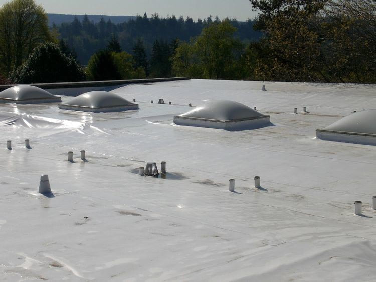 Project 1