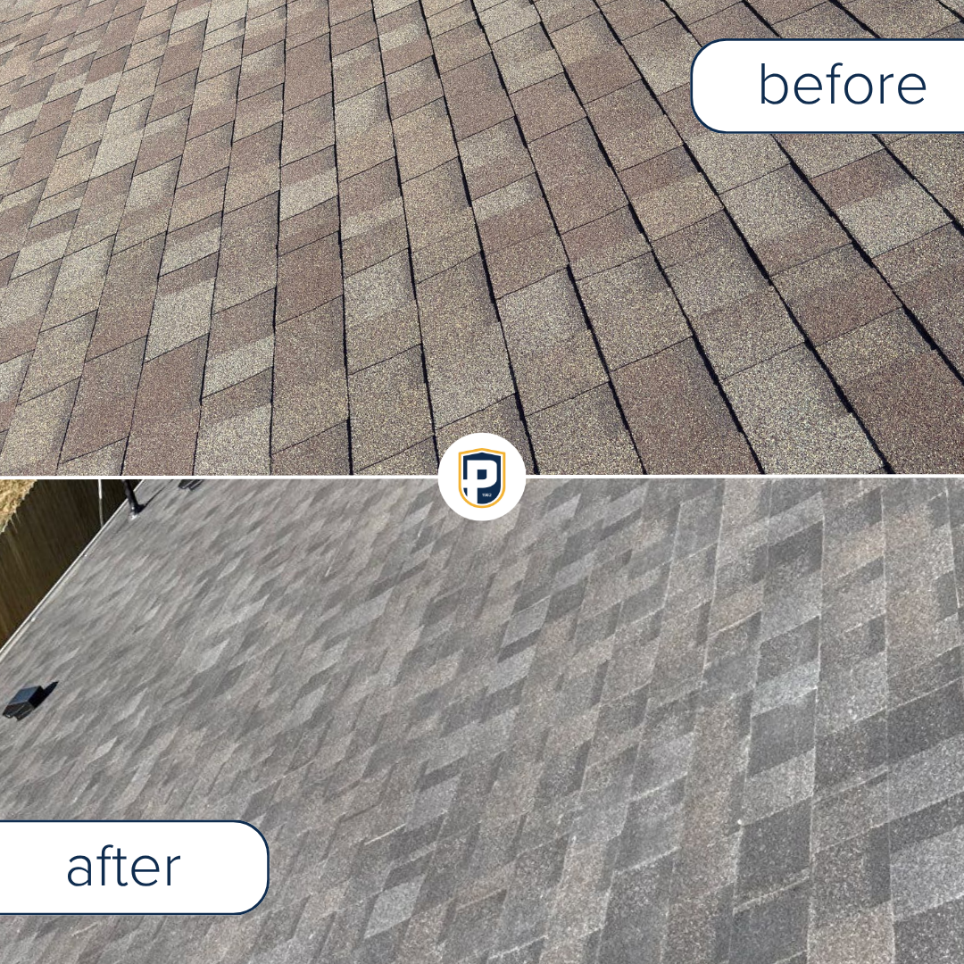 Petrali Roofing - Central project