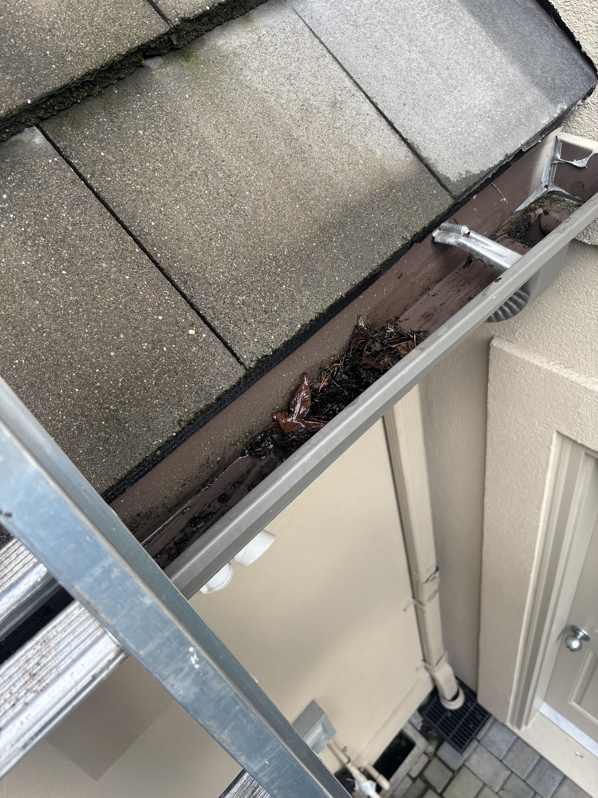 Project 6