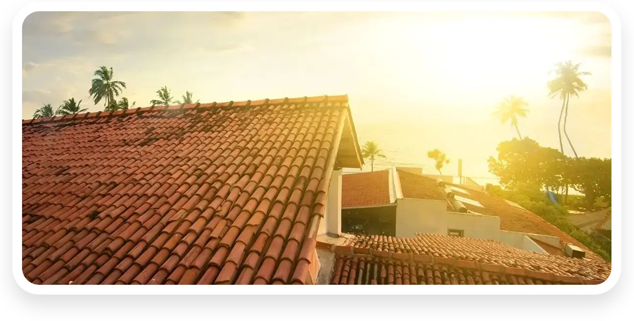 Red's Roofing project