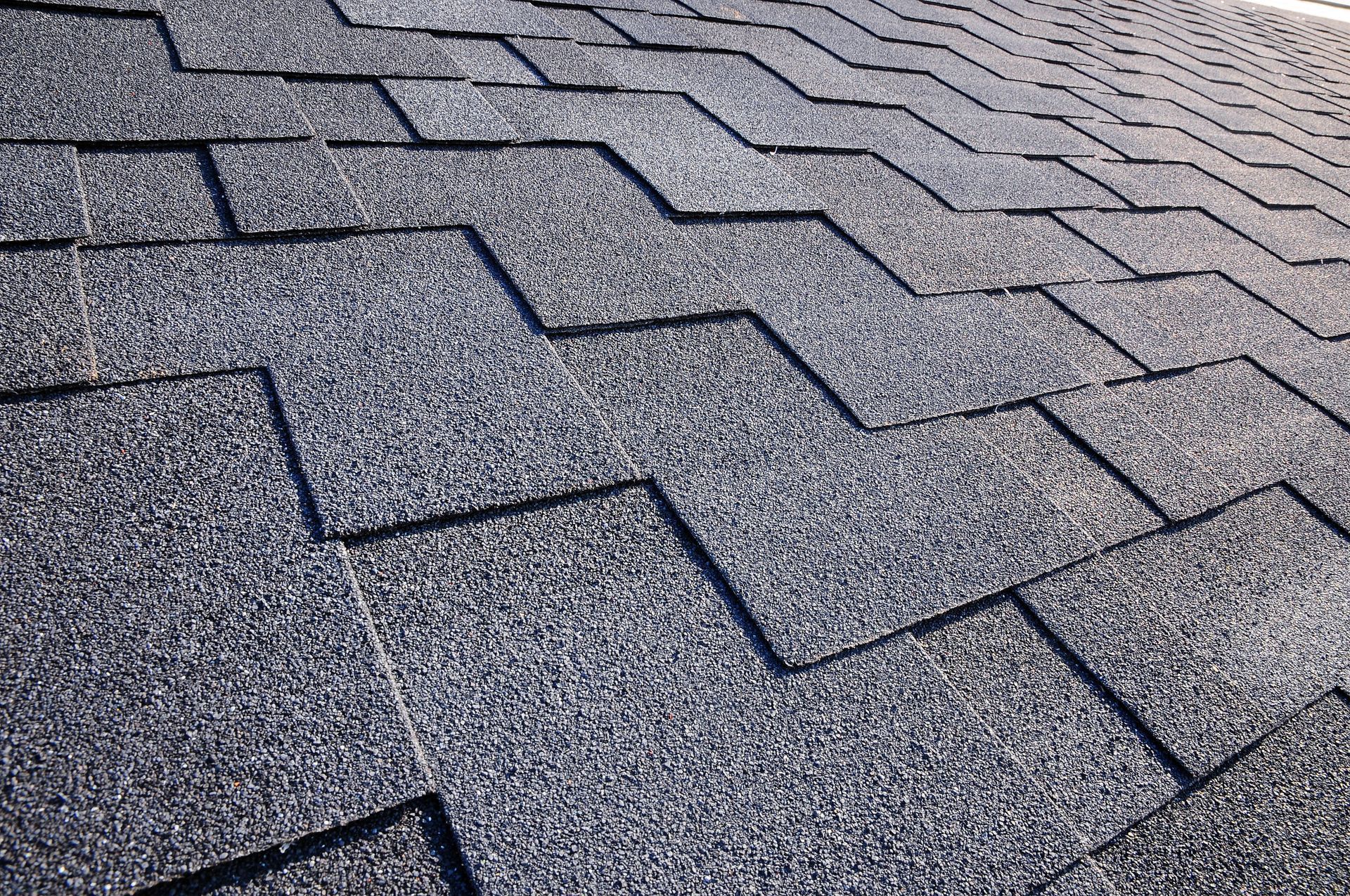 Project 4